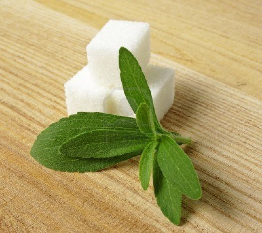 Stevia - Natural Sweetner 300 times sweeter than sugar