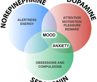mild depression - dopamine and serotonin