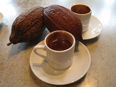 Cocoa or Chocolate Rich Diet May Improve Memory