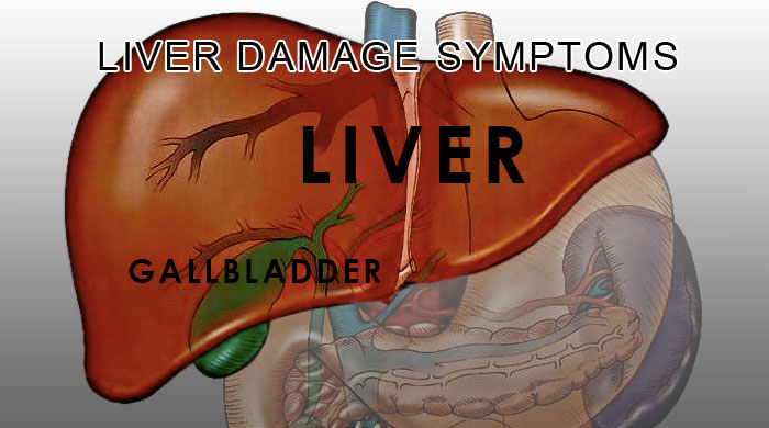 10 Signs and Symptoms of Having Damaged Liver