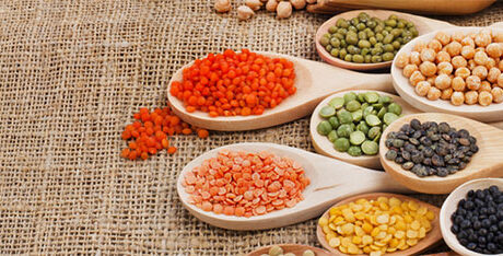 Lentils are a Good Source of Bodybuilding Proteins