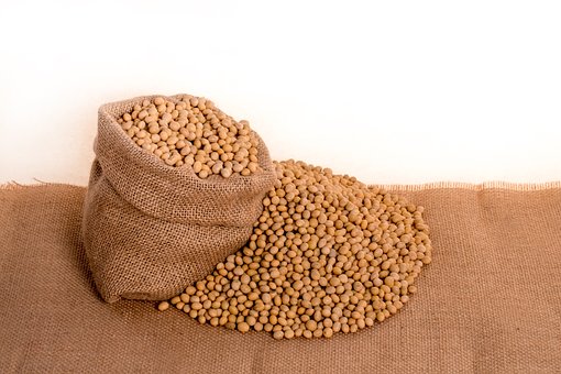 Soybeans, Plants, Seeds, Bag, Burlap