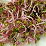 Top 5 Benefits Of Sprouts And Microgreens