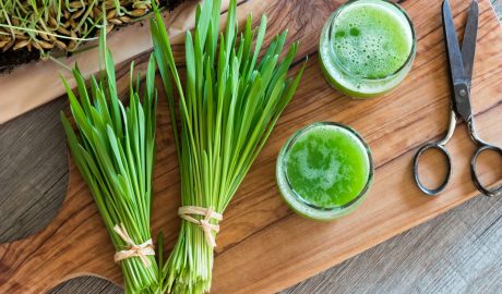 Barley grass juice and smoothies