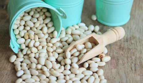 photo of white kidney beans