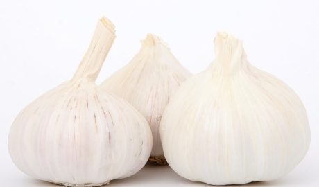Free Garlic Cooking photo and picture