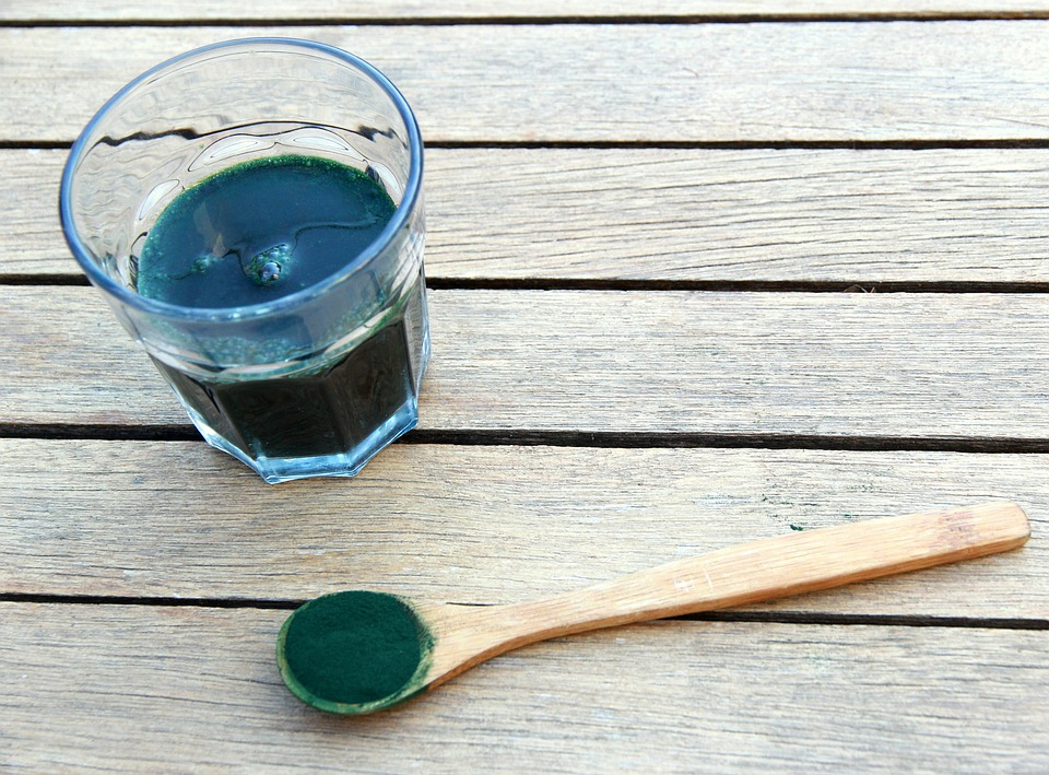 Free Spirulina Seaweed photo and picture