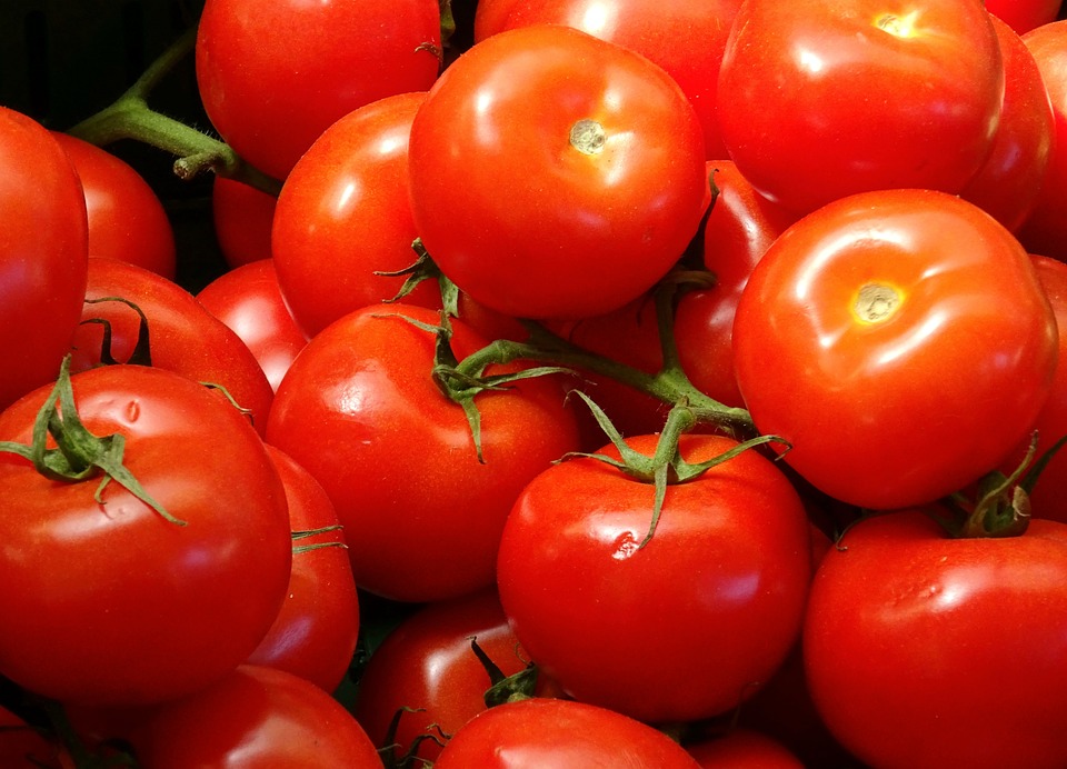 Free Tomatoes Red photo and picture