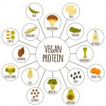 Vegan protein 1